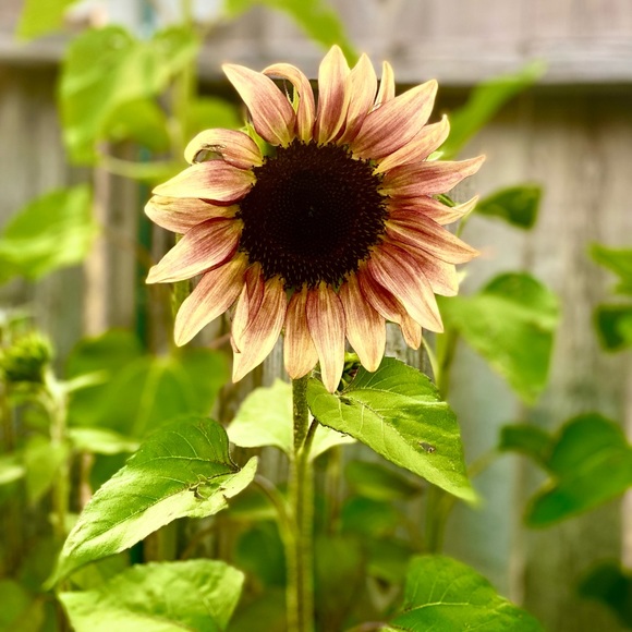 Fashion is fun.Diversity. Connections. Honesty - Picture 6 of 8